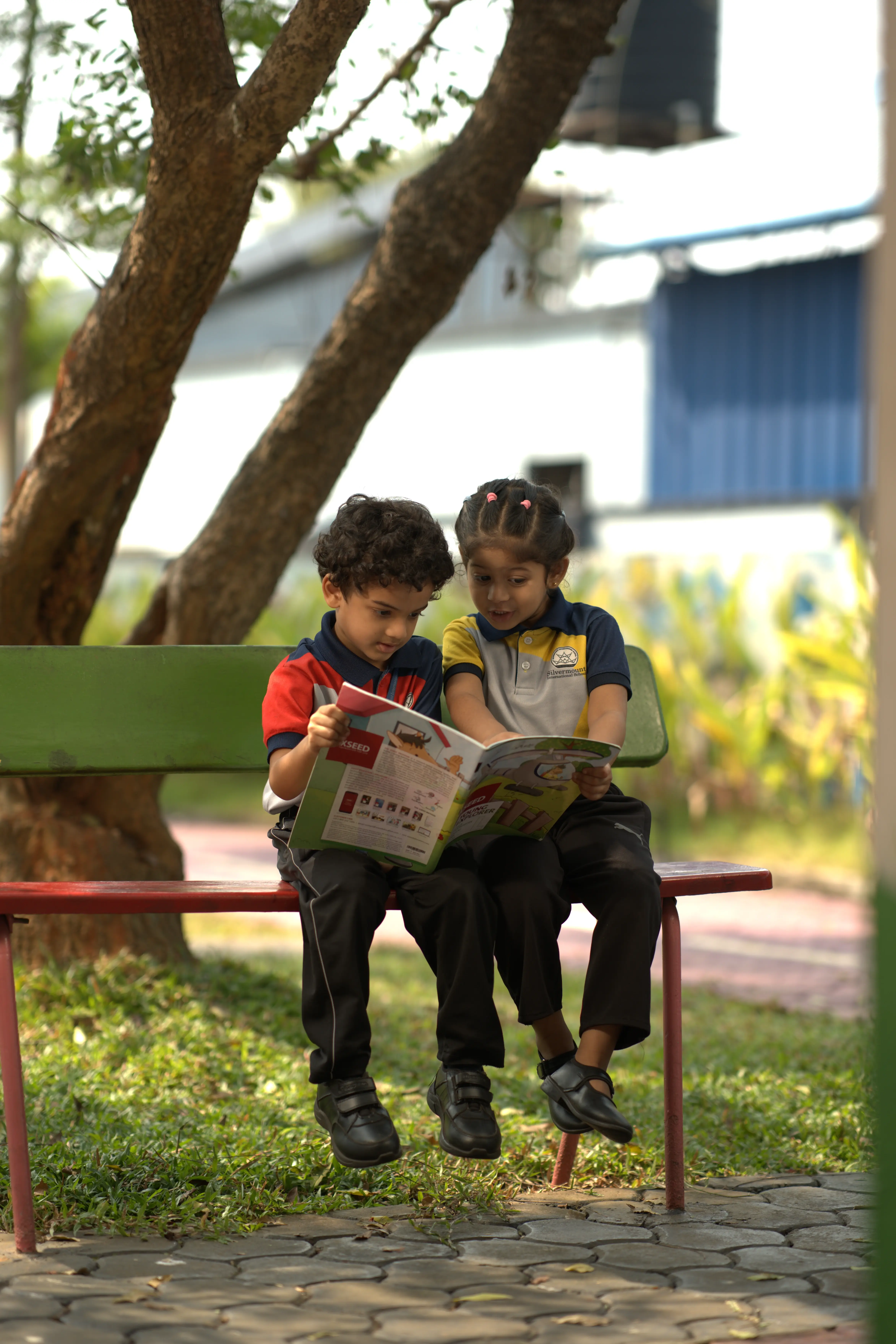about prospectus
